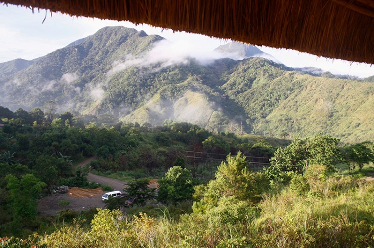 View from the house porch