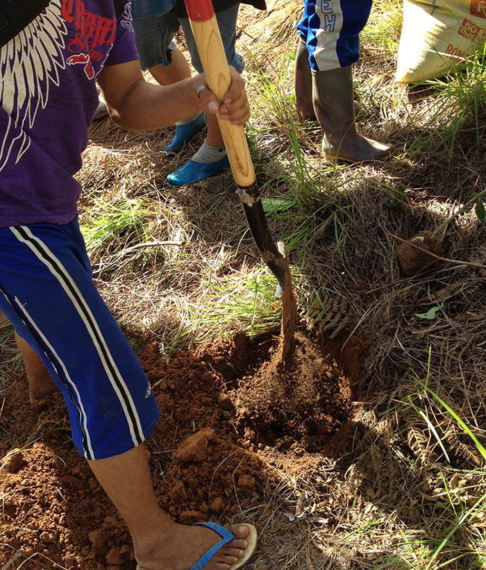 Adding organic fertilizers