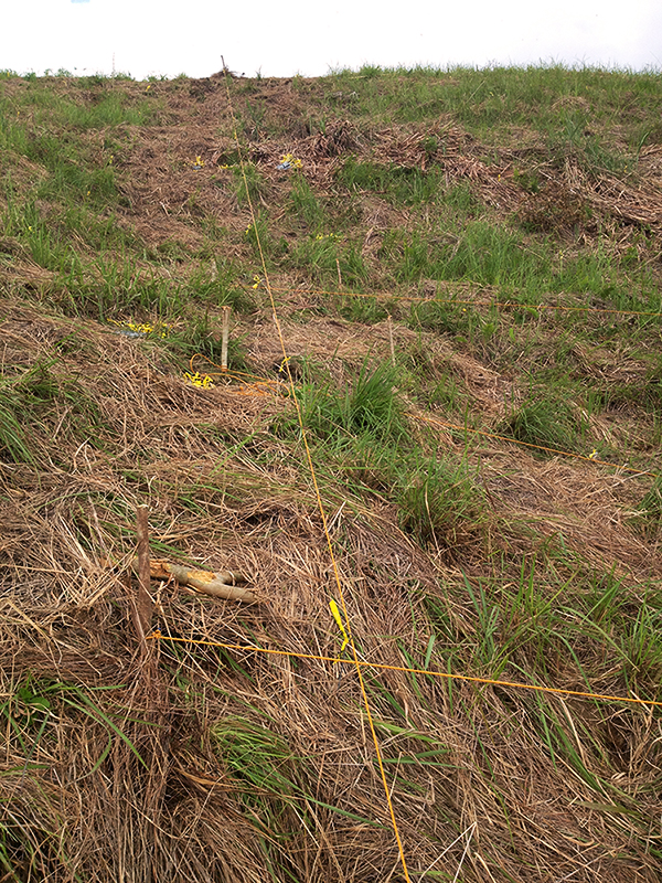 Markers in the ground